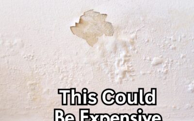 Rental Property Neglect: The Silent Killer of Your Profits