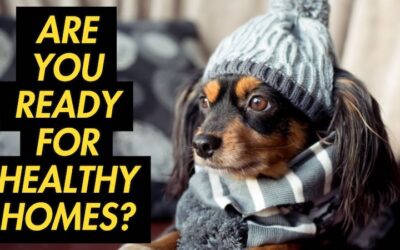 Don’t Risk Penalties – Meet Healthy Homes Standards Before 1 July 2025