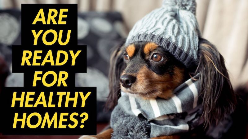 Don't Risk Penalties – Meet Healthy Homes Standards Before 1 July 2025 - 1