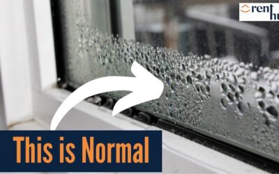 Why your home is Healthy Homes compliant and still has condensation (and what to do about it)
