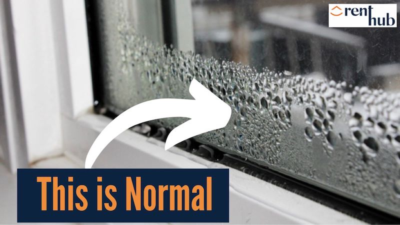 Why your home is Healthy Homes compliant and still has condensation (and what to do about it) - 1